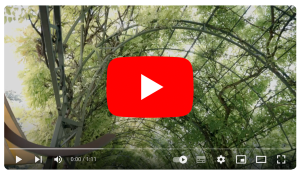 Banca IFIS - Video Youtube
