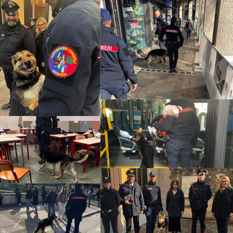 Carabinieri - Controllo Liceo Artistico di Treviso